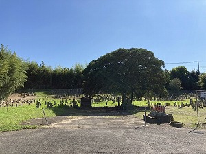 赤坂墓地（神戸市西区）のお墓