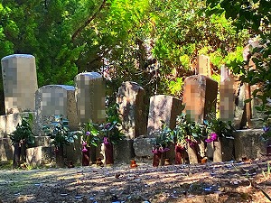 夫婦岩墓地（淡路市）のお墓