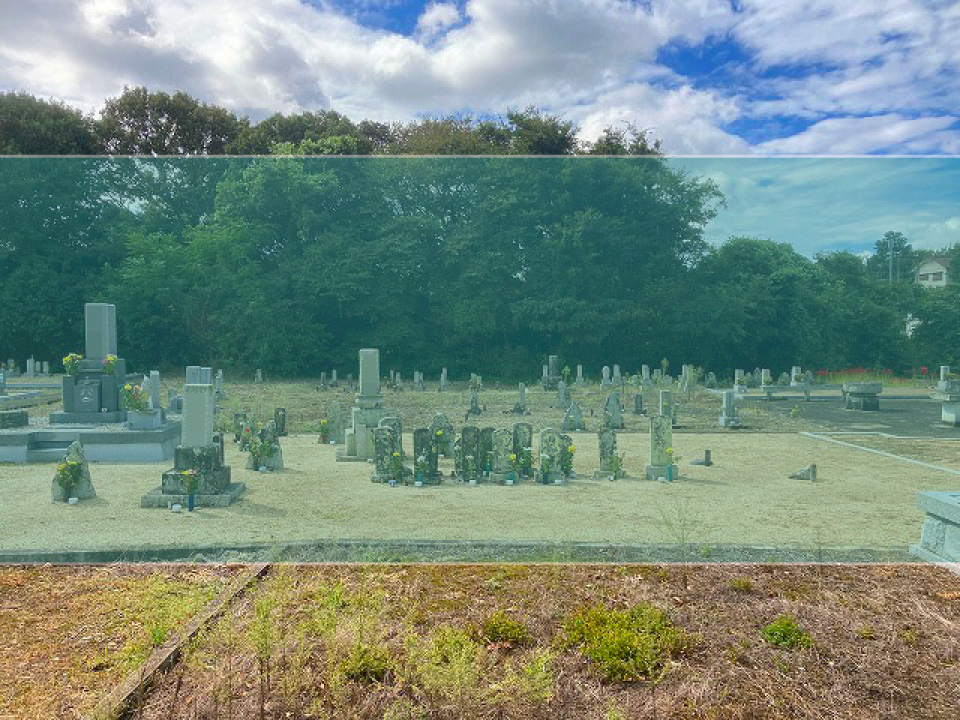 下草谷中墓地の墓地風景
