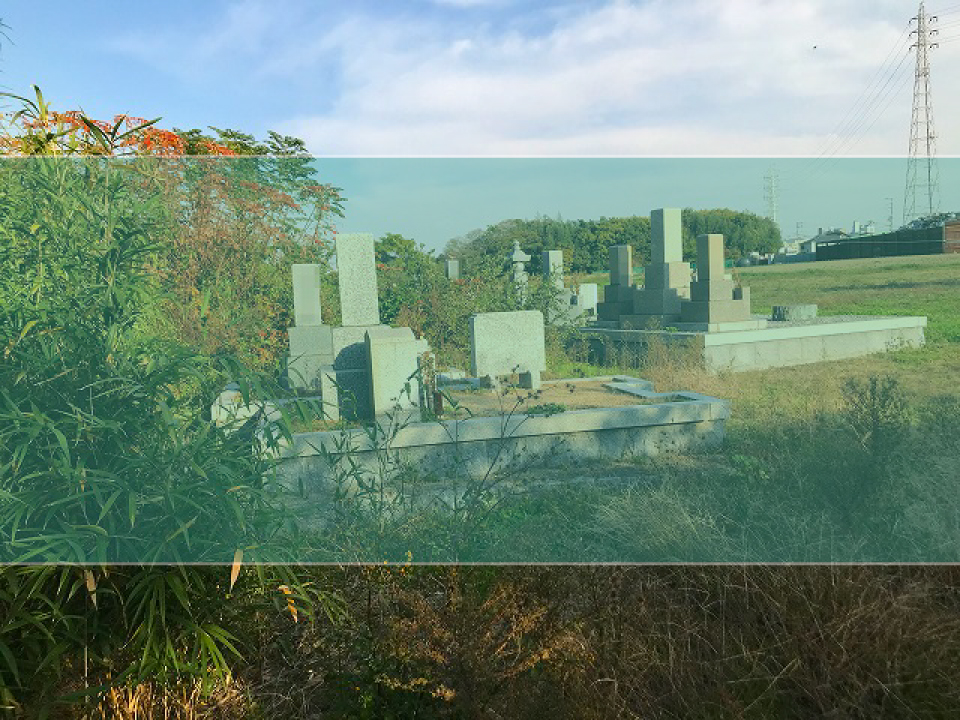 別府井ヶ谷墓地の墓地風景