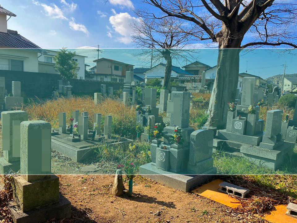 大国墓地の墓地風景