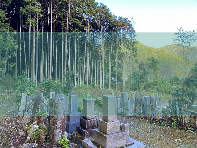 小柿墓地の墓地風景