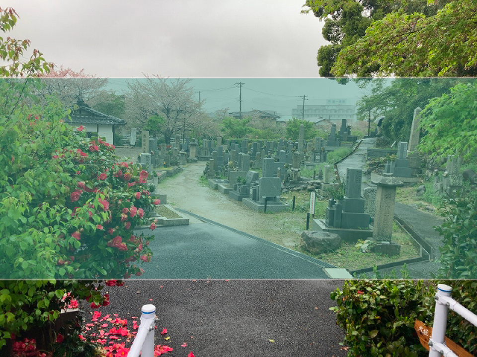 小浜共同墓地の墓地風景