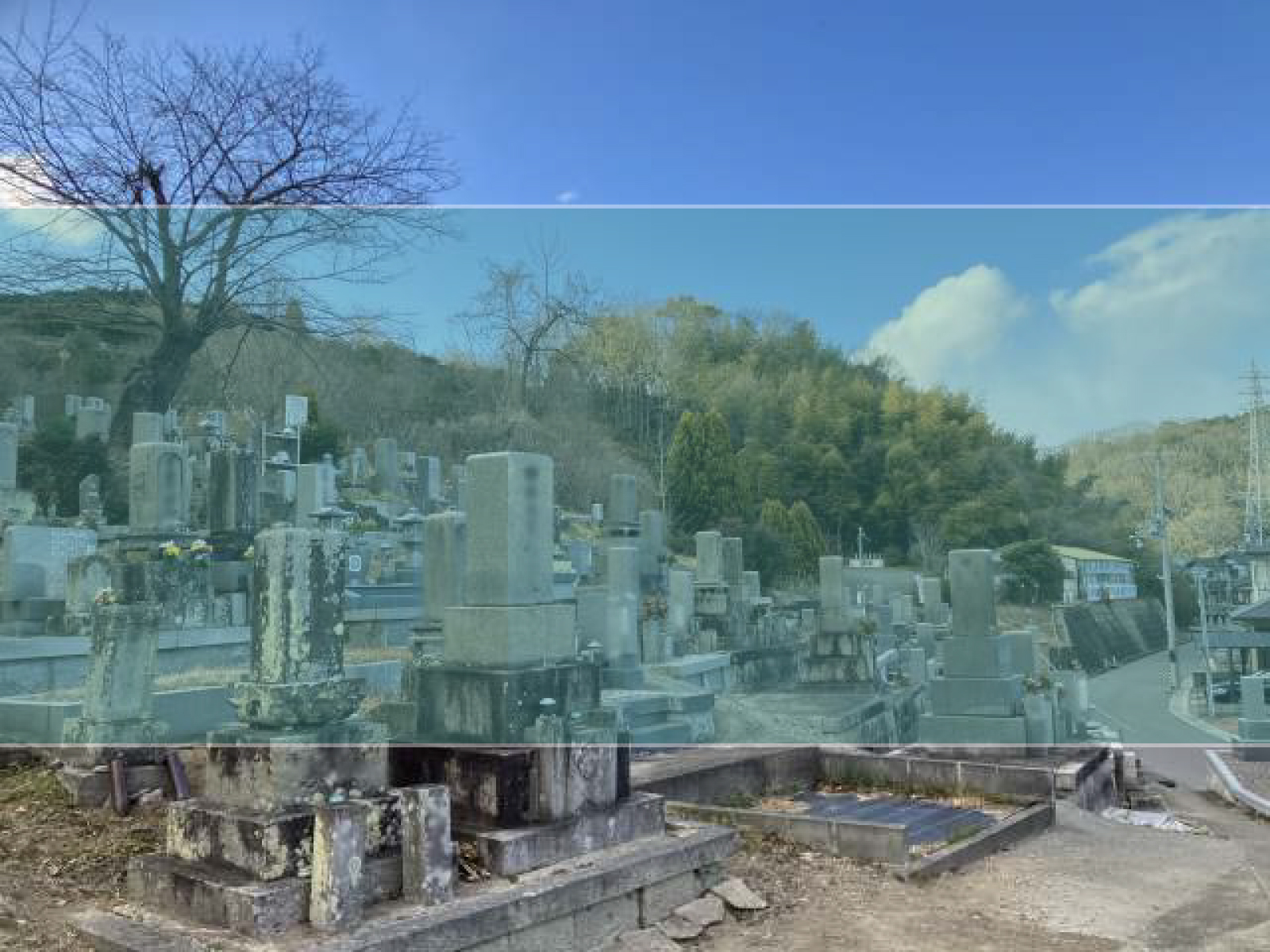 朝日谷墓地の墓地風景