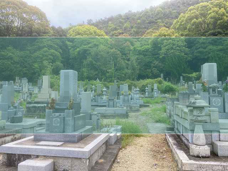 本郷墓地の墓地風景