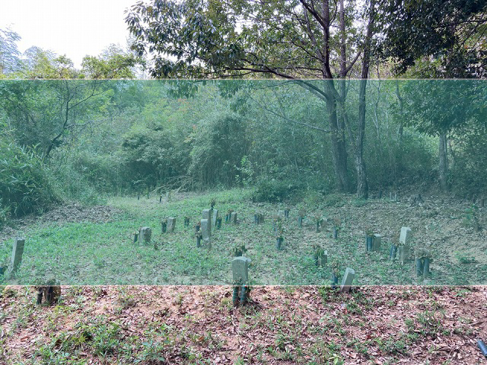河高共同墓地の墓地風景