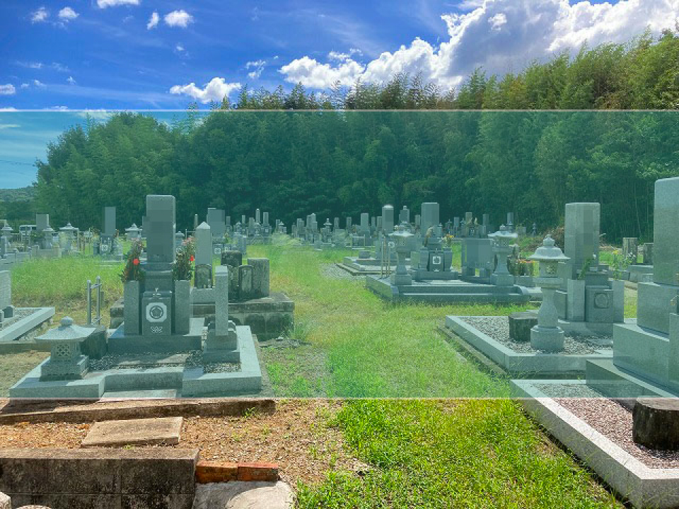 王子町墓地の墓地風景