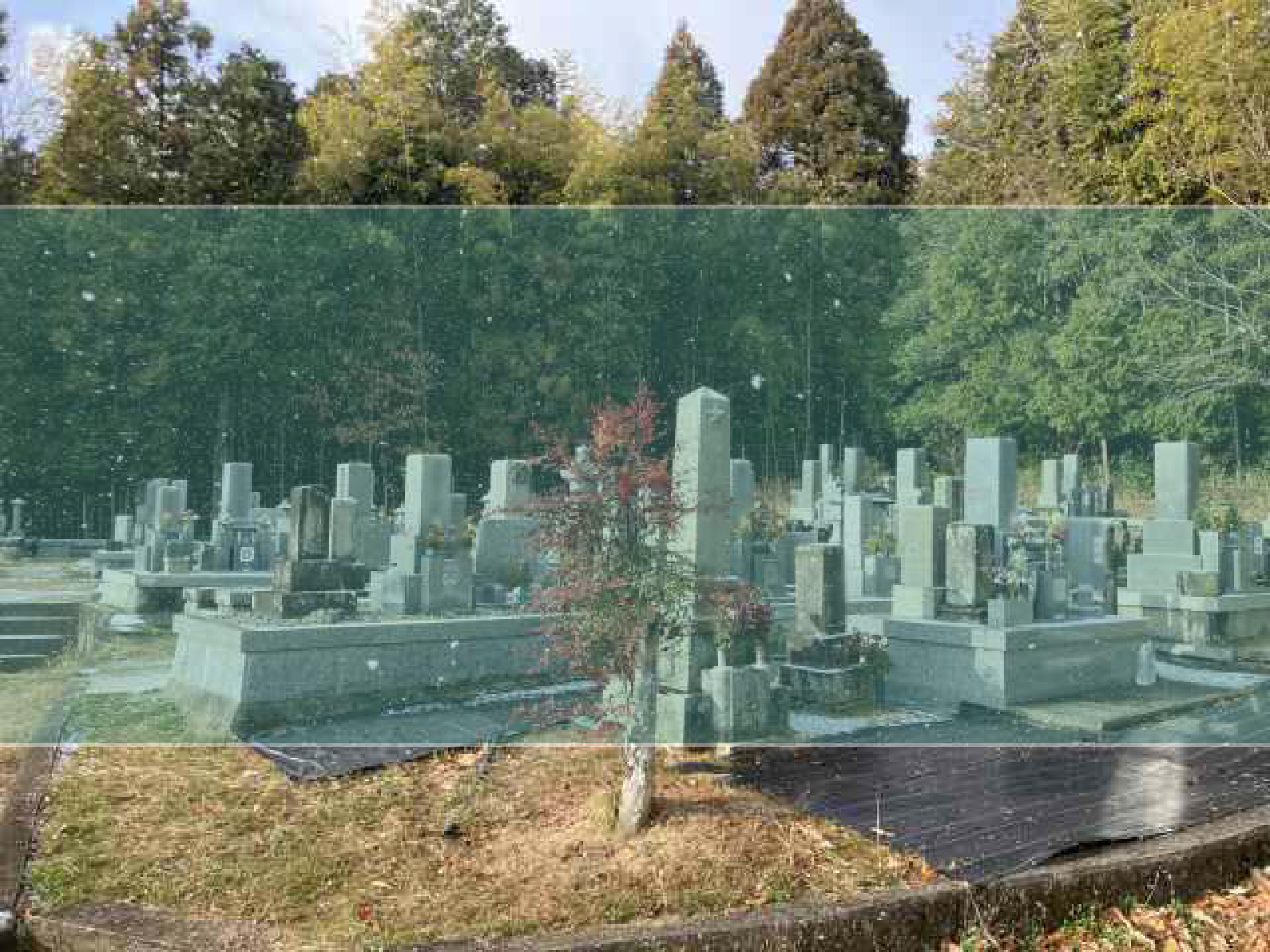 田野墓地の墓地風景