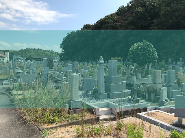 福井霊苑の墓地風景