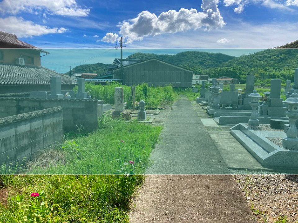 野田町墓地の墓地風景
