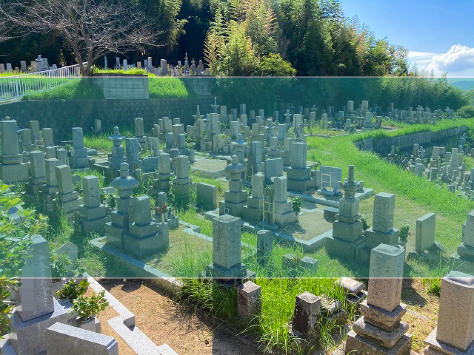 淡路市営金谷墓地の墓地風景